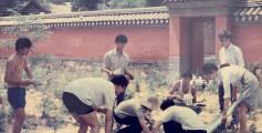 BeiDaSHX1983